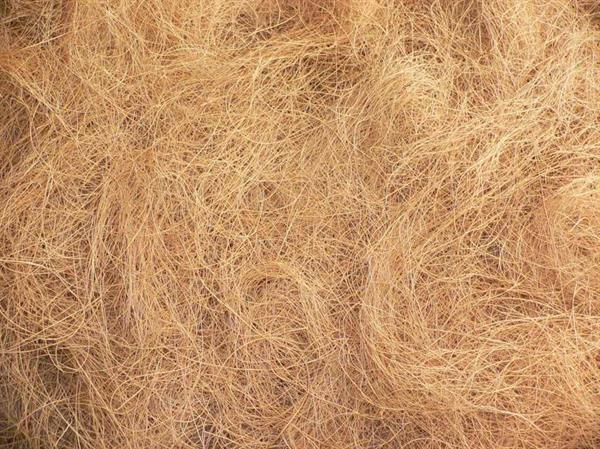 Coir / Coconut Fibre